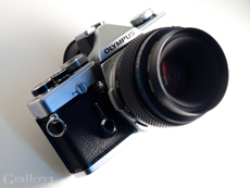 62196385-1m.jpg