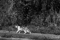 62206453-1m.jpg