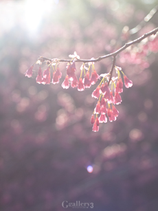 62206506-1m.jpg
