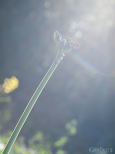 62206653-1m.jpg