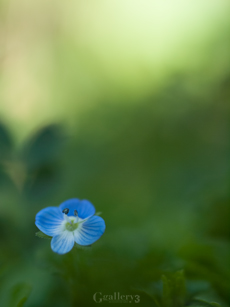62206670-1m.jpg