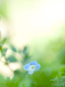 62206676-1m.jpg