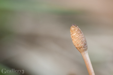 62206766-1m.jpg