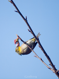 62206944-1m.jpg