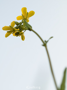 62217069-2m.jpg