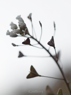 62217093-5m.jpg