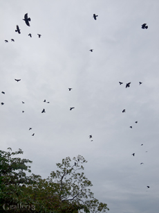62224992-6201454m.jpg
