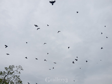 62224999-6201455m.jpg
