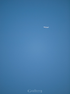 62240507-1m.jpg