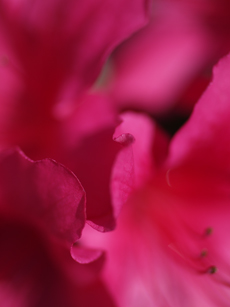 62241989_os2_m.jpg
