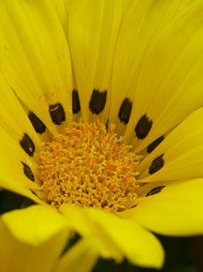 62242091_ap3_m.jpg