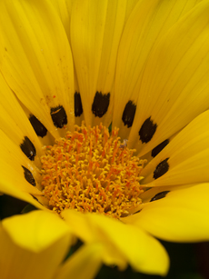 62242091_lr3_m.jpg
