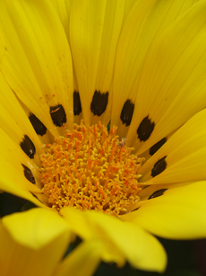 62242091_os2_m.jpg