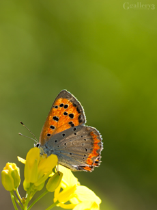 62252244-620150m.jpg