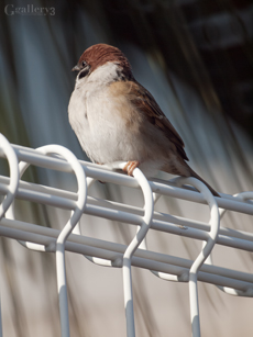 62260717-1m.jpg