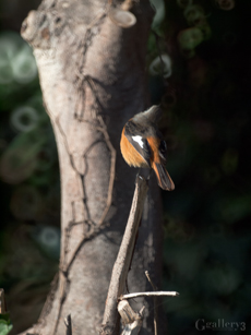 62260755-3m.jpg