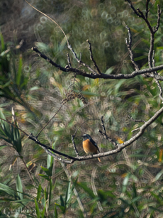 62260768-5m.jpg