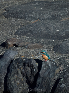 62263973-620500m.jpg