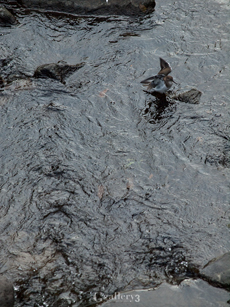 62274068-62050200m.jpg