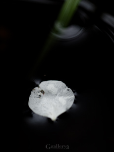 62277408-620163m.jpg