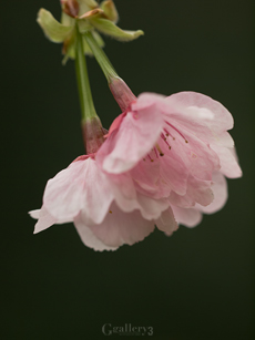 62277461-620169m.jpg
