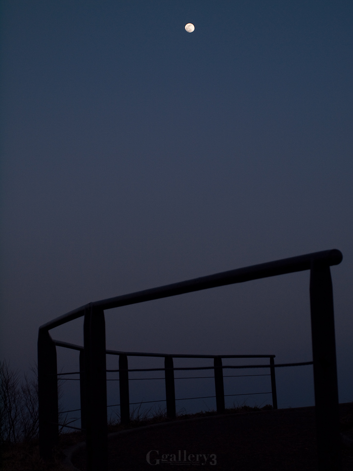 62284403-62050002.jpg