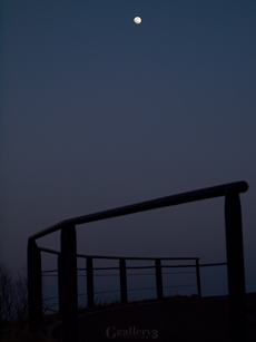 62284403-62050002m.jpg