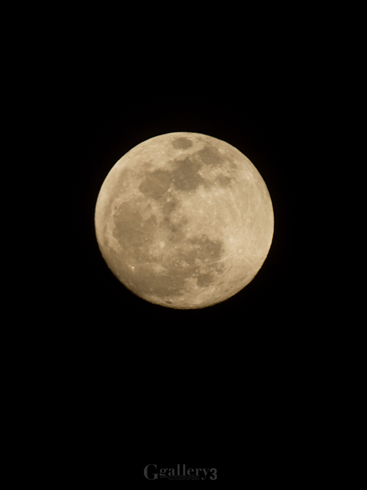 62294445-62050000.jpg