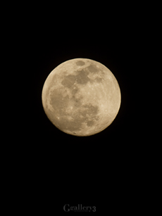 62294445-62050000m.jpg