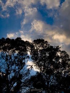 E3033219-LR.jpg