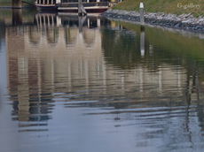 E3057995-LR3.jpg