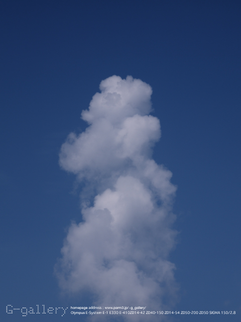 E3058320_330.jpg