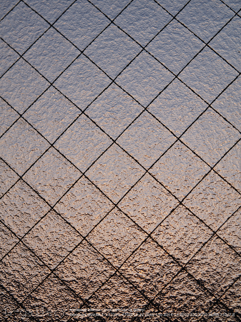E3058353_330_14_54.jpg