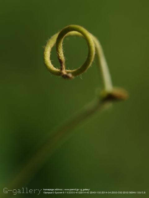 E3128657.jpg