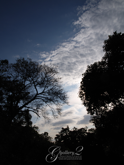 E3149732_330_14-42.jpg