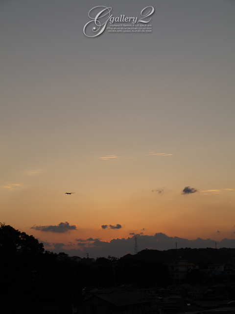 E3149801_330_14-42.jpg