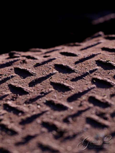 E3232727_E-330_150.jpg