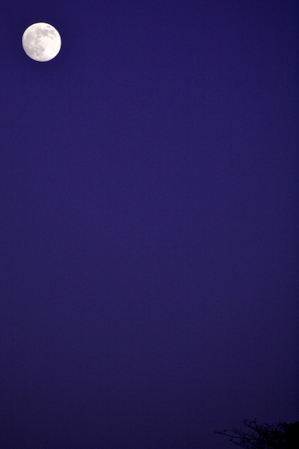 E3232856_E330_40-150.jpg