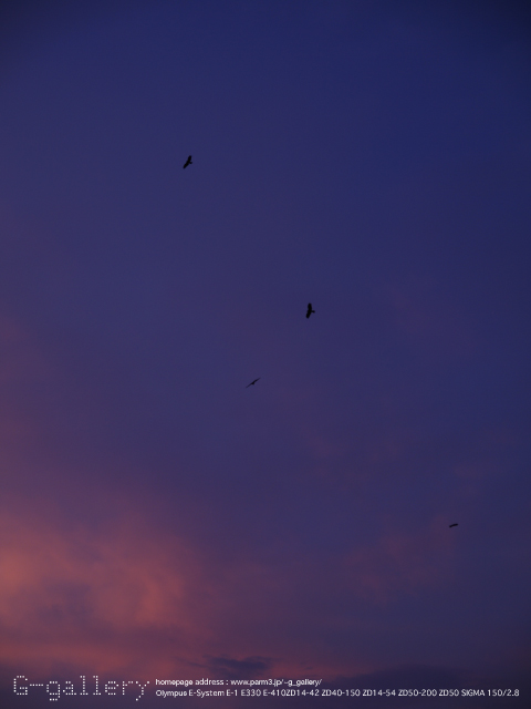 E3248904_E-330_14.jpg