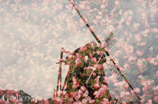 EOS-1_002m.jpg