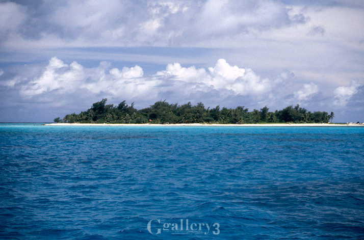 EOS-1_28-80_005.jpg