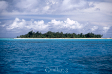 EOS-1_28-80_005m.jpg