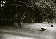 EOS1_TRYX-19_2m.jpg