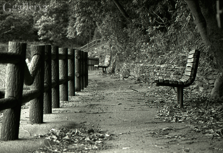 EOS1_TRYX-9_2.jpg