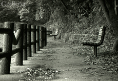 EOS1_TRYX-9_2m.jpg