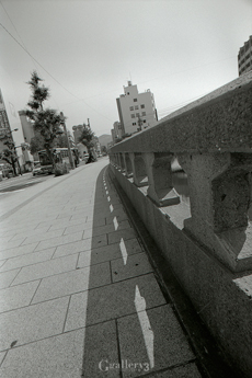 OM-1_17_002m.jpg