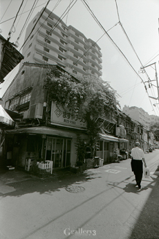 OM-1_17_004m.jpg