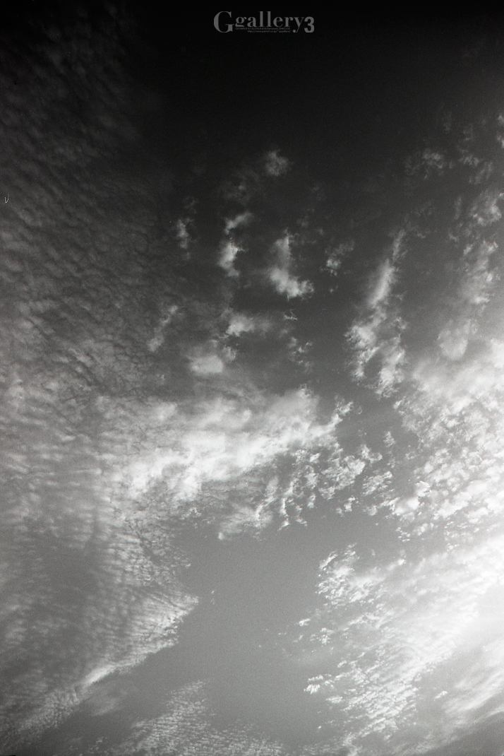 OM-1_17_015.jpg
