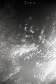 OM-1_17_015m.jpg
