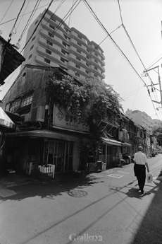 OM-1_17_022m.jpg